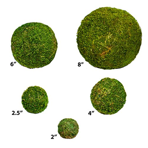SuperMoss (25542 Moss Balls, Fresh Green, 6" (3 Pack) - color: Fresh Green, size: 6" (3 pack)