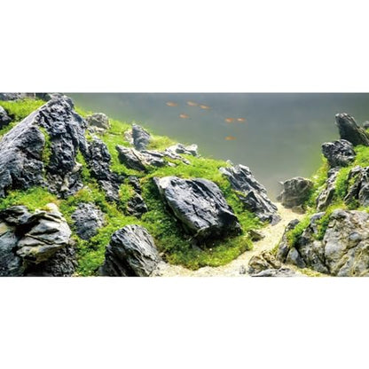 AWERT 48x20 inches Stone Fish Tank Background Aquatic Plant River Bed & Lake Aquarium Background Seaweed Aquarium Vinyl Background - size: 48x20in/120x50cm