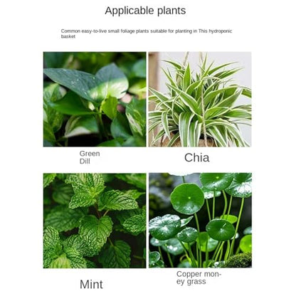 Plant Holder for Aquarium - Acrylic Hydroponic Basket Transparent Adjustable Height Aquatic Plant Holder Decoration Corner Shelf Underwater Vine Moss