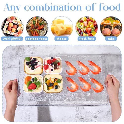 2 Set 16" x 9" Plastic Chilled Serving Tray for Parties with Compartments Ice Chilled Party Platter Charcuterie Serving Board Cold Dish Dip for Fruit Seafood Vegetable Appetizer (Clear) - color: Clear