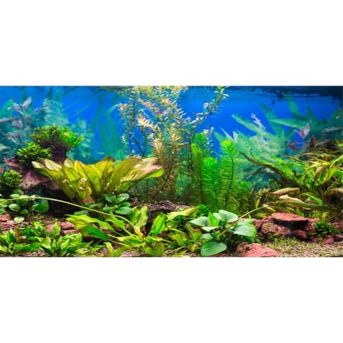 AWERT 36x18 inches Aquarium Background Aquatic Plant River Bed and Lake Fish Tank Background Vinyl, 36x18in/90x45cm - size: 36x18in/90x45cm