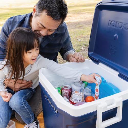 Igloo Maxcold Ice Blocks, Reusable Ice Packs for Coolers, Freezer Pack, Cold Packs for Coolers, Long Lasting Ice Blocks - color: XL