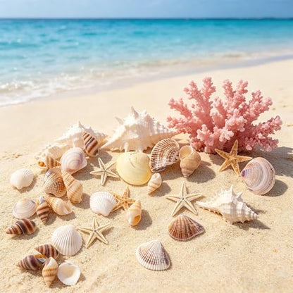1200 Pcs Small Seashells Starfish Mixed Beach Seashells for Home Decoration Beach Theme Party DIY Crafts Candle Making