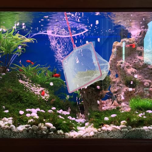 Toyvian 5pcs Handheld Fishing Net for Aquarium Non- Handle Fine Mesh Design for Small Fish Convenient Fishing Tools for Fish Tank