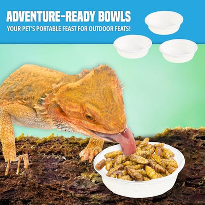 Pet Food and Water Cups, No More Soaking Dishes, Fits on Slim Ledges, No Food Leftover, No Plastic Leftover, Add to Compost or Isopod Tub, Suitable for Gecko Tanks (2 oz, 100 Pack)