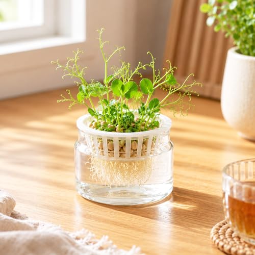 12 Sets Floating Aquarium Plant Holder, 12PCS Aquarium Planting Baskets with 12PCS Gasket Pads, Floating Pond Planter for Aquatic Plant Cultivation and Landscaping Decorations