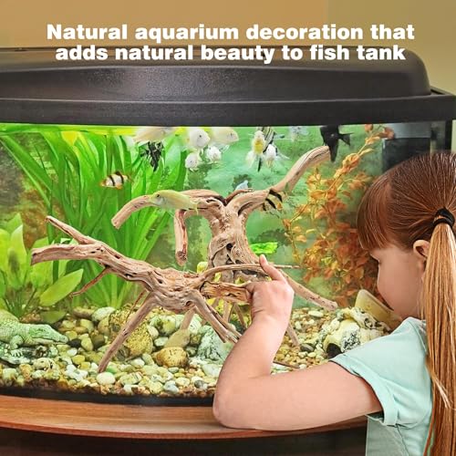 Natural Spiderwood for Aquarium Decor 2-Piece 11''-14'' Long Natural Driftwood Branches for Fish Tank Decorations