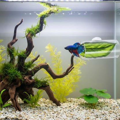 2 Pcs Acrylic Betta Hammock Tunnel Fish Tank Accessories with Soft Faux Leaf Fish Shelter Hideaway with Suction Cups for Sleeping Hiding Resting