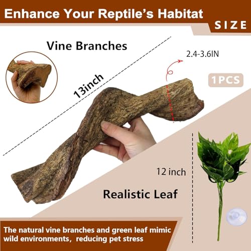 2Pcs Reptile Climbing Branches Decor,2.5-3.25" Think Snake Climbing Branch,Gecko Climb Wood,Lizard Bold Forest Branch,Tank Habitat Tree Trunk Decorations for Bearded Dragons,Chameleons,Frogs - size: 2PCS|XL:2.50-3.25"D,13"L