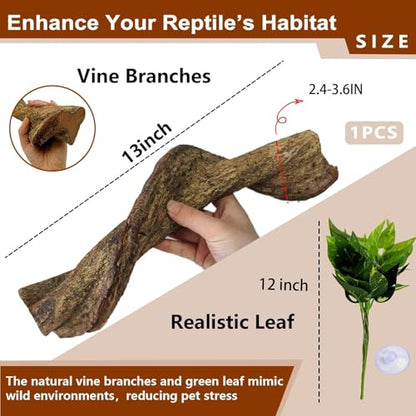 2Pcs Reptile Climbing Branches Decor,2.5-3.25" Think Snake Climbing Branch,Gecko Climb Wood,Lizard Bold Forest Branch,Tank Habitat Tree Trunk Decorations for Bearded Dragons,Chameleons,Frogs - size: 2PCS|XL:2.50-3.25"D,13"L