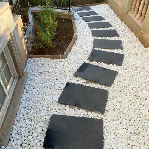 5 lbs White Matte Rocks for Plants, 2-3 Inch Large Pebbles for Indoor Plants, Decorative River Stones for Succulent, Landscaping, Vases, Crafting and Garden