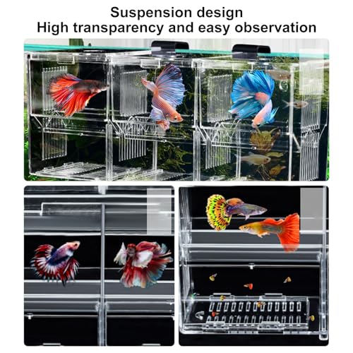 Aquarium Fish Breeding Box, Acrylic Transparent Multi-Grid Design Fish Isolation Box Hatchery-Incubator for Newborn Fry Shrimp Clownfish Aggressive Fish Injured Transparent M