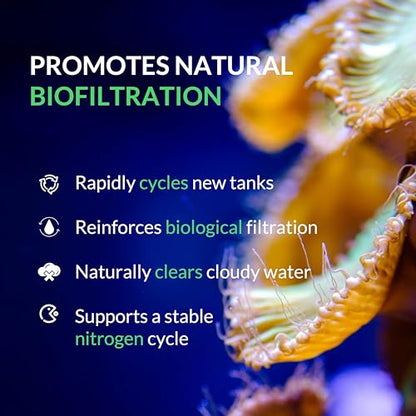 Saltwater Complete – Live Nitrifying Bacteria Blend for Saltwater & Reef Aquariums - Instant Cycle Marine Tank Starter - Removes Ammonia Nitrite - Clarifier - Safe for Fish Coral Invertebrates - 12oz