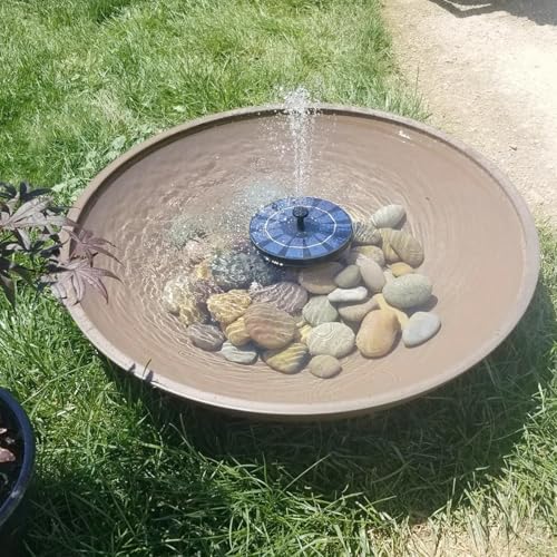 5lbs River Rocks for Landscaping, 2"-3" Decorative Garden Stones for Plants, Flower Pots, Vase, Walkways, Yard, Natural Rocks for Aquarium, Fish Tank - size: 2-3 Inch