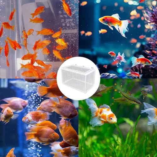 Aquarium Breeding Box - Mesh Box Fish Breeding Tanks, Aquarium Breeder Box, Fish Fry Hatchery, Juvenile Separation Net with Suction Cups, Nursery for Guppy Shrimp - color: large
