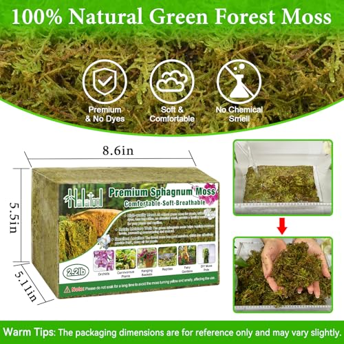 2.2LB Premium Sphagnum Moss for Plants, 50QT Green Moss for Plants Indoor Potted Orchid Moss for Repotting Succulent Carnivorous Terrarium Gardening Reptiles