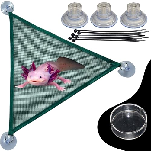 Axolotl Hammock with Feeder Dish – Mesh Resting Spot for Aquariums, Suction-Cup Mount, Easy-Clean Tank Accessories & Decor for Axolotl Habitats (Green, S) - color: Green