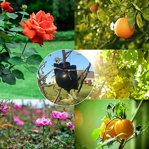 12 PCS Plant Root Growing Box, Reusable Air Layering Propagation Kit Rooting Ball Grafting Tools for Plant Propagation - size: Large