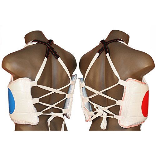 Pine Tree Sang Moo Sa Martial Arts, Taekwondo, Reversible Chest Guard Dot - size: 3 - Adult Medium
