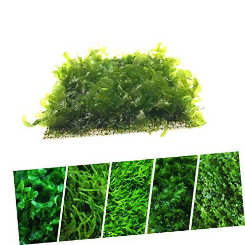 VICASKY Aquarium Fixed Mesh Pad Stainless Steel Wire Mesh Fish Tank Net Moss and Grass Plant Holder
