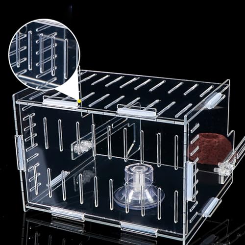 Aquarium Plant Holder, Versatile Placement, 15x10x12cm, Fish Tank Greenery, Planted Aquarium Shelf, Fish-Friendly, for Corner, Shelf, Underwater Vine, Moss