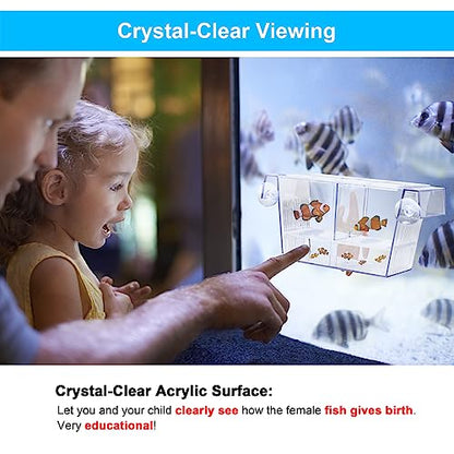 Fish Breeding Box Aquarium Holding Tank Transparent Fish Isolation Box Acclimation Hatchery Incubator Breeder for Betta Shrimp Clownfish Guppy