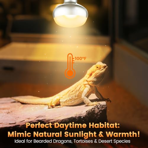 Dual Reptile Light Fixture with 100W Daytime Heat Bulb & 100W Nighttime Ceramic Heat Emitter, 2 Independent Switches, Reptile Heat Lamp Combo Pack - No UVB - size: ST1