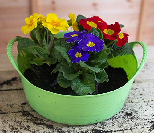 Tubtrugs SP5G Flexible Green Extra Small 5 Liter/ 1.3 Gallon Capacity - color: Green, size: Mini