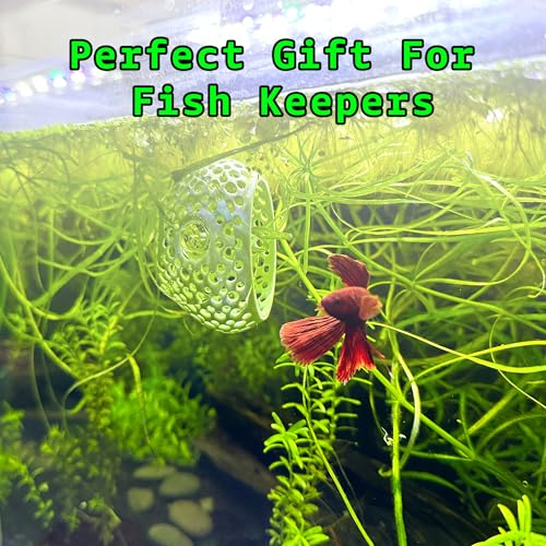Betta Bulb Hide | Suction Cup Betta Fish Cave & Shrimp Hideout | Wall-Mounted Aquarium Cave for Betta Tanks, Nano Tanks & Planted Aquariums (Cotton Candy Blue)