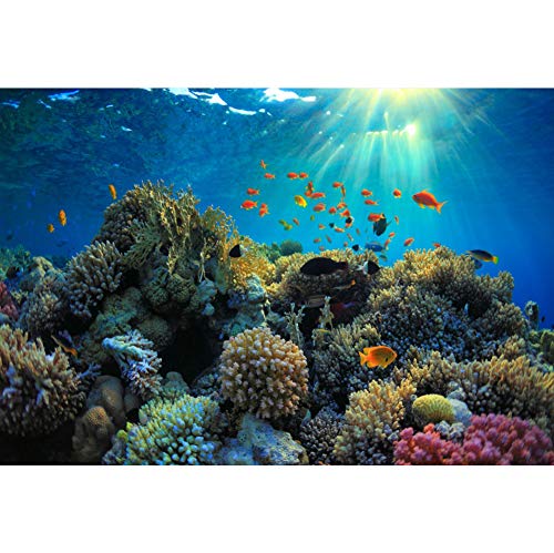 Colorful Coral Reef Backdrop 8x6ft Photography Background Magic Undersea World Kids Birthday Party Marine Theme Banner Baby Shower Aquarium Decor Tropical Fish Kids Adults Photo Props - size: 8x6ft
