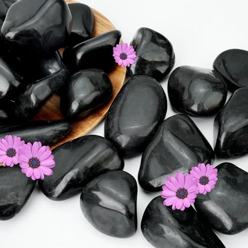 16lb Black River Rocks, 2-3 Inch Pebbles for Indoor Plants, Natural Polished Aquarium Gravel, Decorative Rocks for Outdoor Landscaping, Succulent, Garden, Vases Fillers, Bird Baths - color: Black, size: 2-3"-16lb