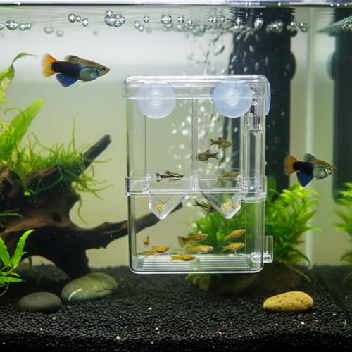 Aquarium Breeding Box for Fry Isolation and Egg Separation, Clear Acrylic and PP Plastic (1 PC)