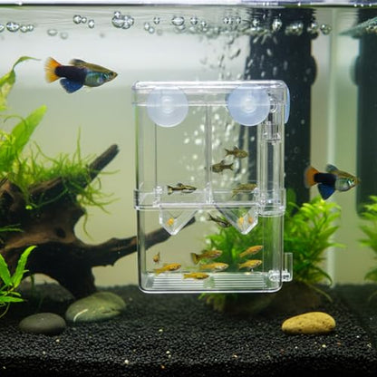 Aquarium Breeding Box for Fry Isolation and Egg Separation, Clear Acrylic and PP Plastic (1 PC)