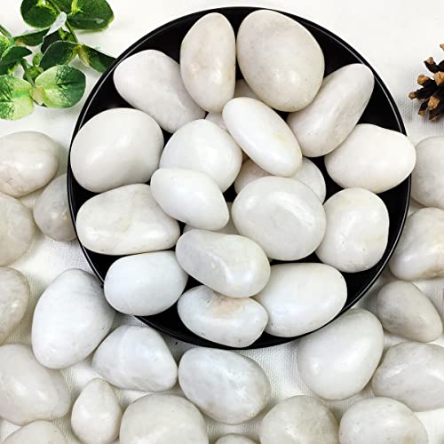 5lbs White River Rocks, 1-2 Inch Natural Pebbles for Indoor Plants, High Polished Decorative Stones Vase Filler Fish Tank Aquariums Landscaping Garden Outdoor and Indoor DIY - color: White, size: 5 Pounds