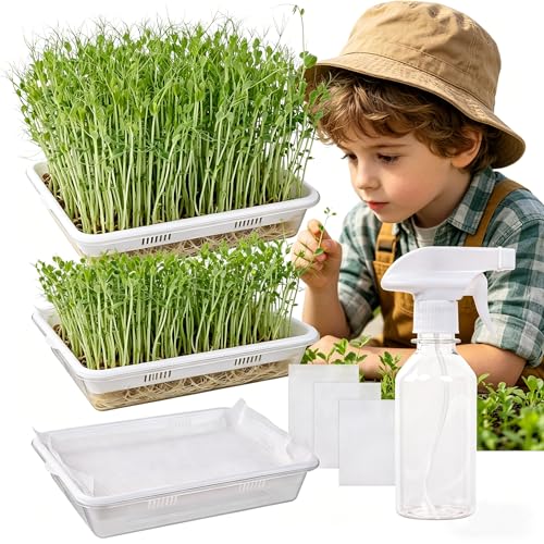 Acrylic Microgreens Growing Trays 3-Pack – Clear Hydroponic Seed Starter Kit with Silicone Mats & Spray Bottle – Reusable Plant Germination Trays for Vegetables, Wheatgrass, Cat Grass – Indoor Garden