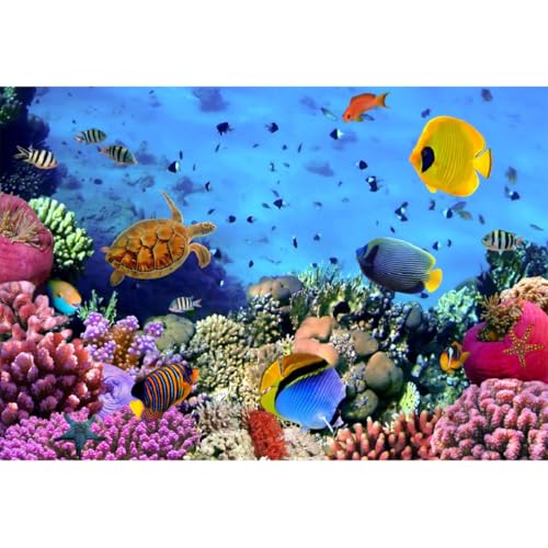 5x3ft Tropical Undersea Backdrop for Photography Under The Water Tropical Sea Coral Fish Sealife Background for Mermaid Theme Birthday Party Supplies Aquarium Decor Photo Shoot Props