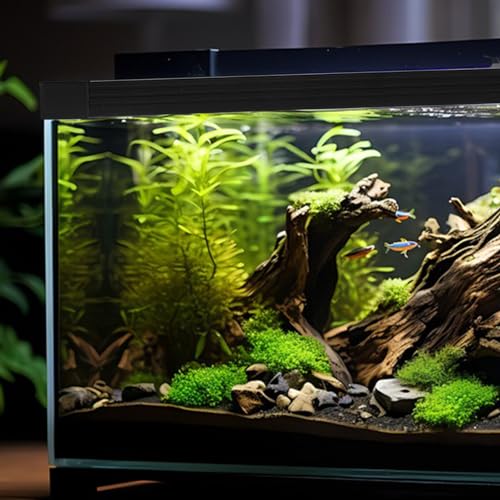 POPETPOP 1set Fish Tank Protector Strip Aquarium Glass Seal Corner Protectors Double Design for Tanks Prevents Fish Escape and Spills