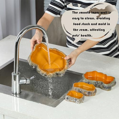 IBWell 5 Inch Reptile Food Dish Escape Proof Reptile Feeding Dish Resin Reptile Water Food Bowl for Bearded Dragon Chameleon Frog Snake Turtle Leopard Gecko