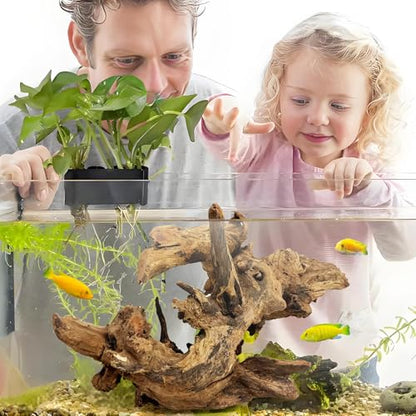 Large Natural Aquarium Driftwood Reptiles Branches Terrarium Ornament Sinkable Wood Decor Trunk Fish Tank Log Habitat Decoration (11"-17")
