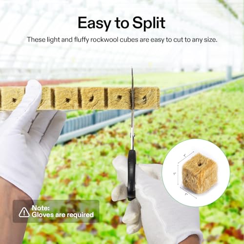 VIVOSUN 1" Rockwool Cubes, 200 Plugs Stonewool Starter Grow Cubes for Cuttings, Cloning, Plant Propagation, Seed Starting, Hydroponic Grow Media for Vigorous Plant Growth - size: 1"-200 Plugs