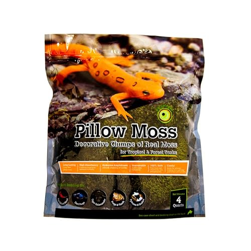 Galápagos (05234) Pillow Moss, Clumps of Real Moss, Natural, 4QT,Green