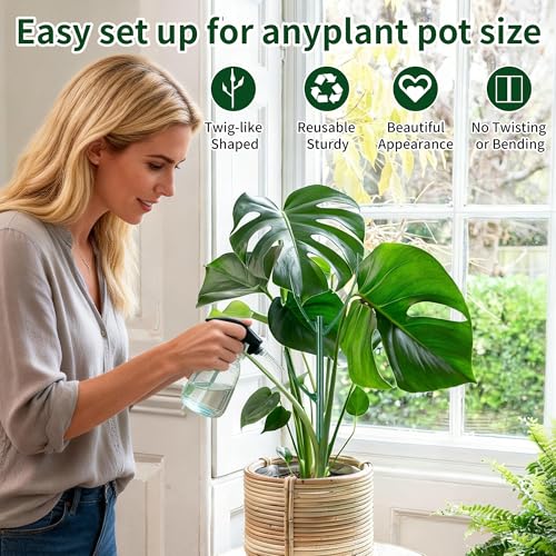 10 Pack Stackable Plant Support Stakes - Climbing Support for Indoor & Outdoor Use - Garden Accessories for Monstera, Pothos, Philodendron - Aesthetic Alternative to Moss Poles & Trellises