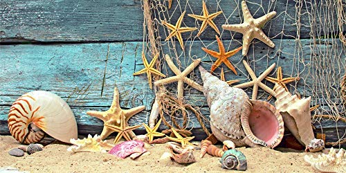 Starfish Aquarium Background Poster HD Fish Tank Decorations Landscape (24" x 16"/ 61 x 41cm)