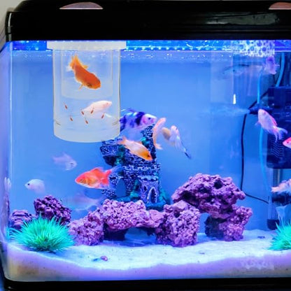 Floating Fish Fry Incubation Box Coarse and Fine Mesh Aquarium Divider for Betta Guppy Shrimp Breeding, Plastic Floating Hatchery Isolation Box for Fish Tank Nursery