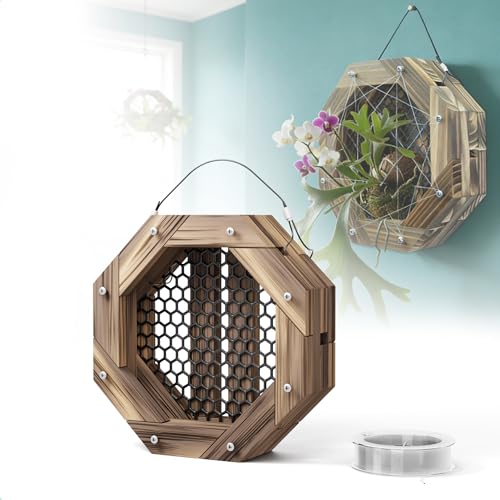 8.18 Inches Staghorn Fern Mounting Kit Orchid Mounting Wood Hanging Plant Frame Wall Planter Plant Holder Basket for Orchids Staghorn Fern Tropical Plants (208x208x60mm) - size: 8.18 inches
