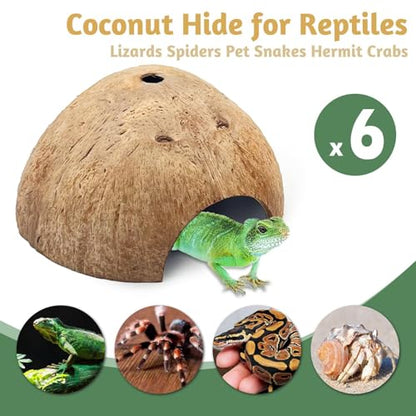 6 PCS Natural Coconut Reptile Hideouts Lizard Coco Hut Hermit Crab Hut Aquarium Fish Hide Cave Spider Snail Climber Toys - size: 6 PCS Smooth Surface