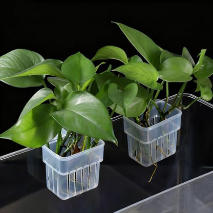 2 PCS Aquarium Plant Holder, Clear Top Hanging Fish Tank Plant Holders, Aquarium Planter Cups with Hook and Screws for Fish Tank Aquaponic Plant Cultivation and Aquascape Decorations
