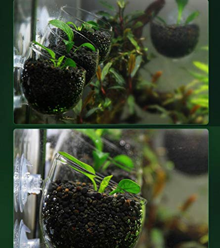 Aquarium Plant Holder Pot Aquarium Decor Crystal Glass Aquatic Plant Cup with Suction Cups for Fish Tank Aquascape Decoration (4 Pack)