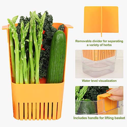 Fresh Herb Keeper for Refrigerator, Clear BPA-Free Herb Saver, Storage Container for Cilantro, Parsley, Thyme, Mint & Asparagus, Preserver Keeps Fresh Herbs for 3 Times Longer, Orange