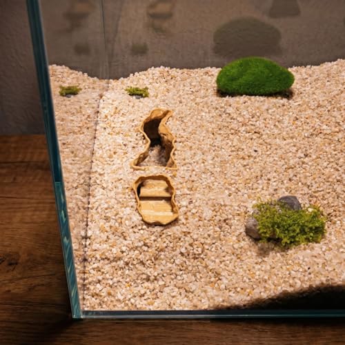 Roman Column Aquarium Cave, 3D Print Fish Hideout for Aquarium Fish Tank Decor, for Viewing Shrimp, Betta Fish, Corydora, Catfish, Pleco (White, M)